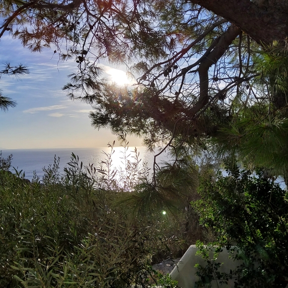 Meet your Posher, Vera - Picture 9 of 15